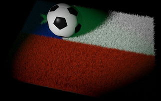 LEYU乐鱼体育官方网站-世界冰壶青年锦标赛中国队喜获佳绩，中国冰壶世锦赛冠军  第3张