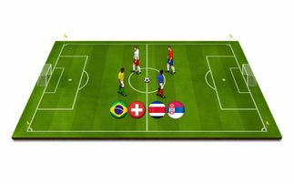 乐鱼体育登录-世界冰球锦标赛加拿大卫冕成功，世界冰球锦标赛分组