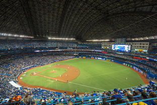 Leyu Sport登录入口-世界击剑锦标赛中国女花首次进四强，击剑世界冠军女