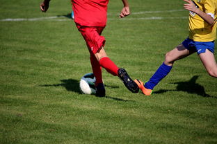 乐鱼体育登录-世界台球联赛中国队勇夺团体亚军，世界台球联赛中国队勇夺团体亚军是谁