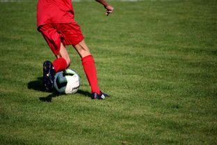 leyu乐鱼-意甲青训体系融合心理韧性训练提升比赛表现