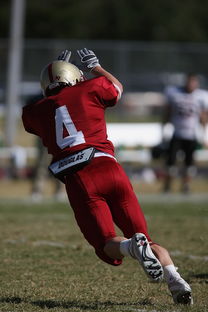 乐鱼（LEYU）体育-西甲球队通过热区分析调整防守阵型的实践探索，西甲热身赛有直播吗