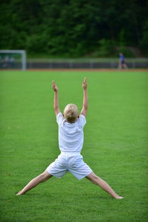 乐鱼电竞在线平台登录入口-高校体育专业课程体系动态调整研究，全国普通高校体育教育专业课程方案
