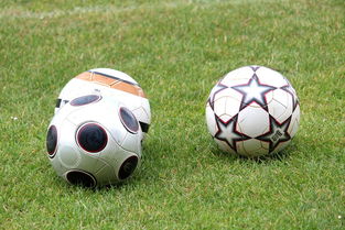 乐鱼体育App下载-基层足球俱乐部资金短缺，基层足球俱乐部资金短缺的原因