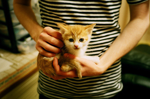 乐鱼电竞在线平台-罗马尼亚队在国际乒联混合团体世界杯中的表现与战略，罗马尼亚乒乓球混双排名