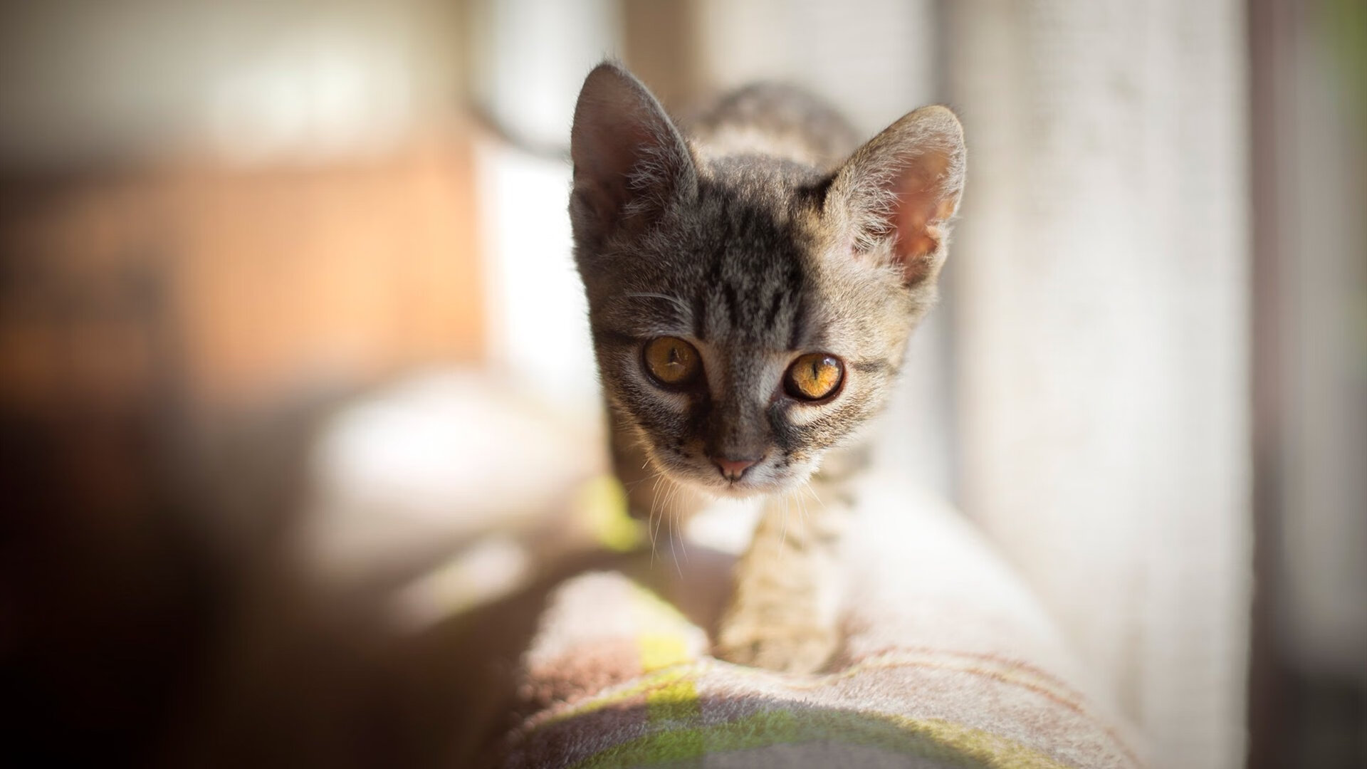 APP下载 LY Sports-青少年足球参与热情不高，青少年足球热身训练