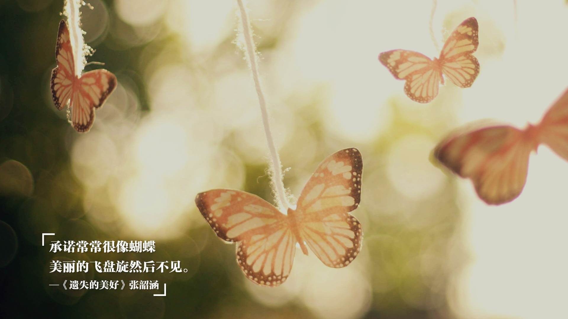 Leyu Sport下载-青训球员对抗能力为何未能提前打磨，青训强队