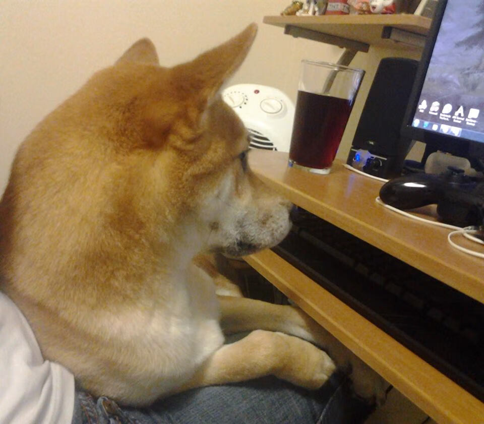 LeyuSports-日本队在亚洲杯进展顺利，期待夺冠