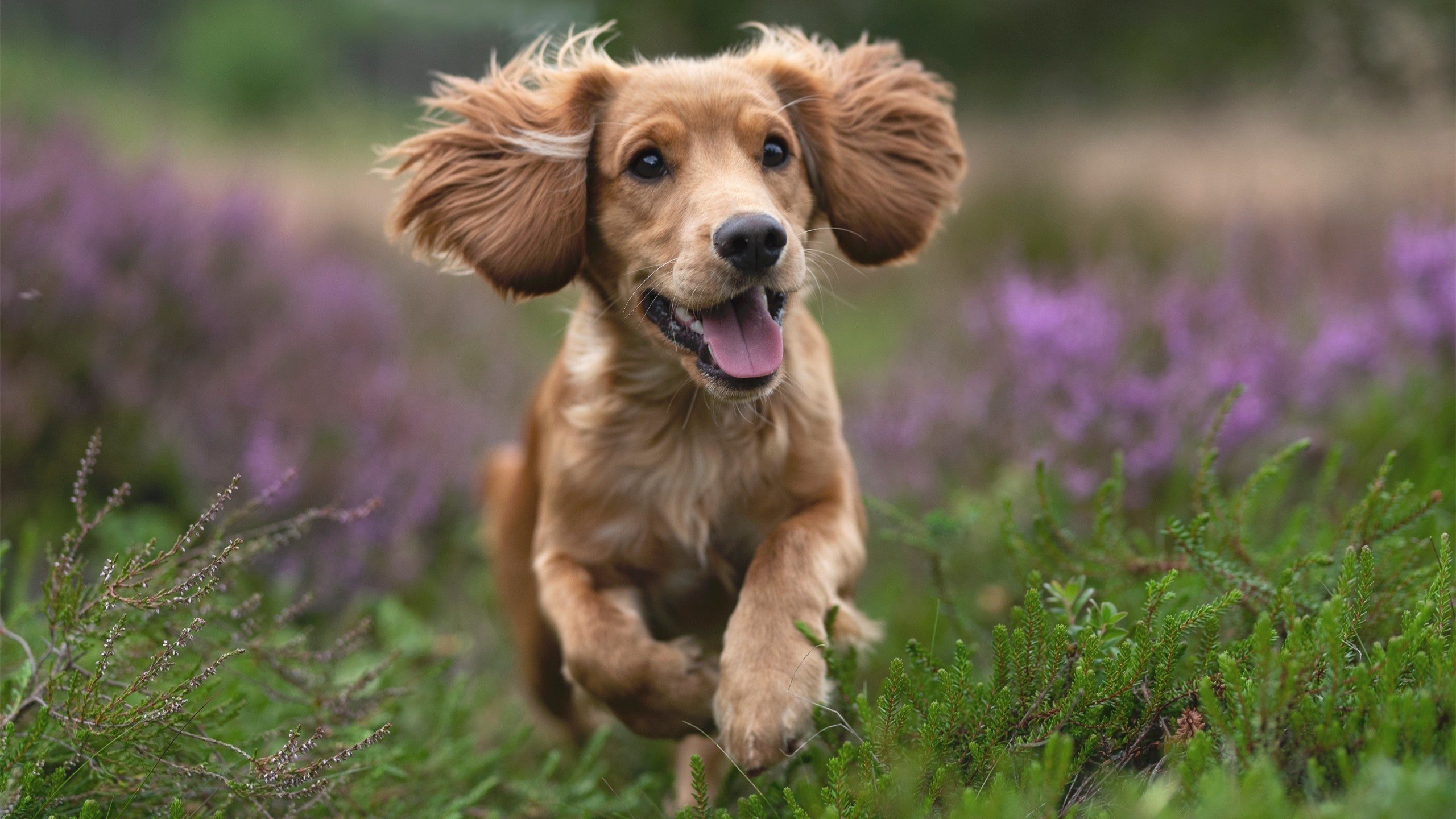 乐鱼（LEYU）体育-曼联青训系统被评为年度最佳学院，曼联青训球员名单