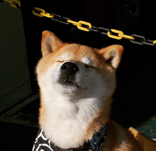 leyu乐鱼体育综合-校园足球鼓励学生担任助理教练拓展角色体验，足球队助教是什么意思