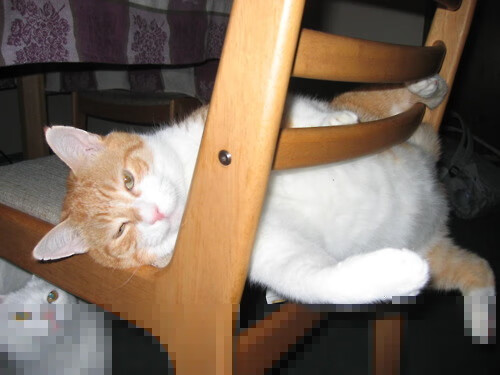 乐鱼体育平台官网-水球比赛突尼斯女将强硬防守，女子水球出线