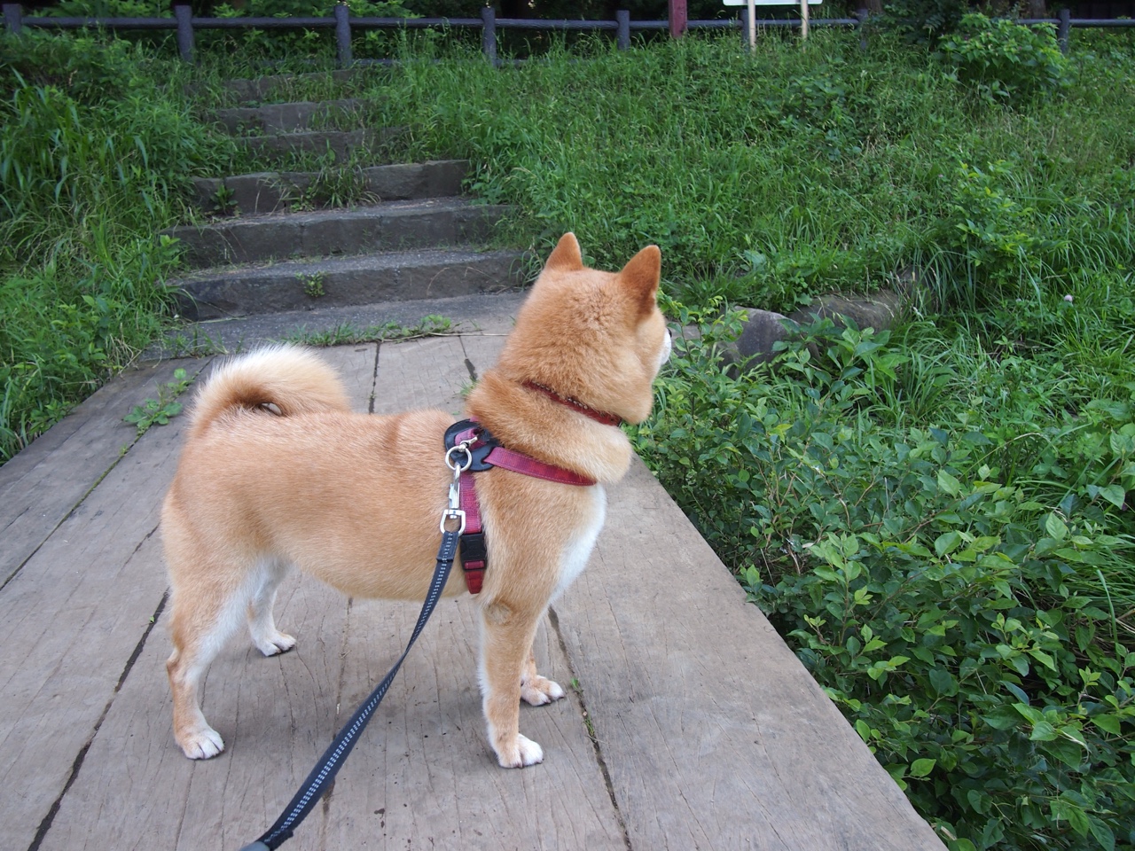 leyu乐鱼-职业联赛推动主场城市定制口号提升归属感，职规赛标语