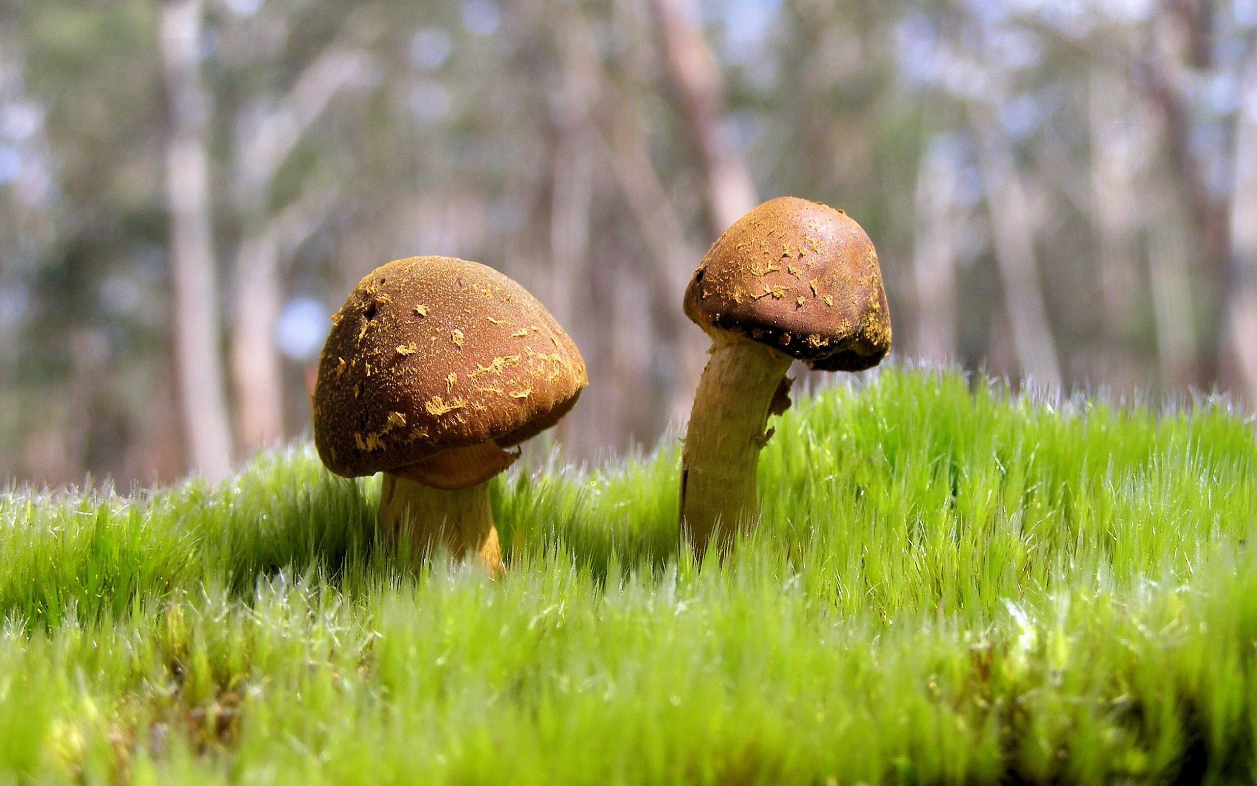 乐鱼体育(中国)官方网站-西甲高光时刻：精彩进球让人叹服！，2021西甲进球