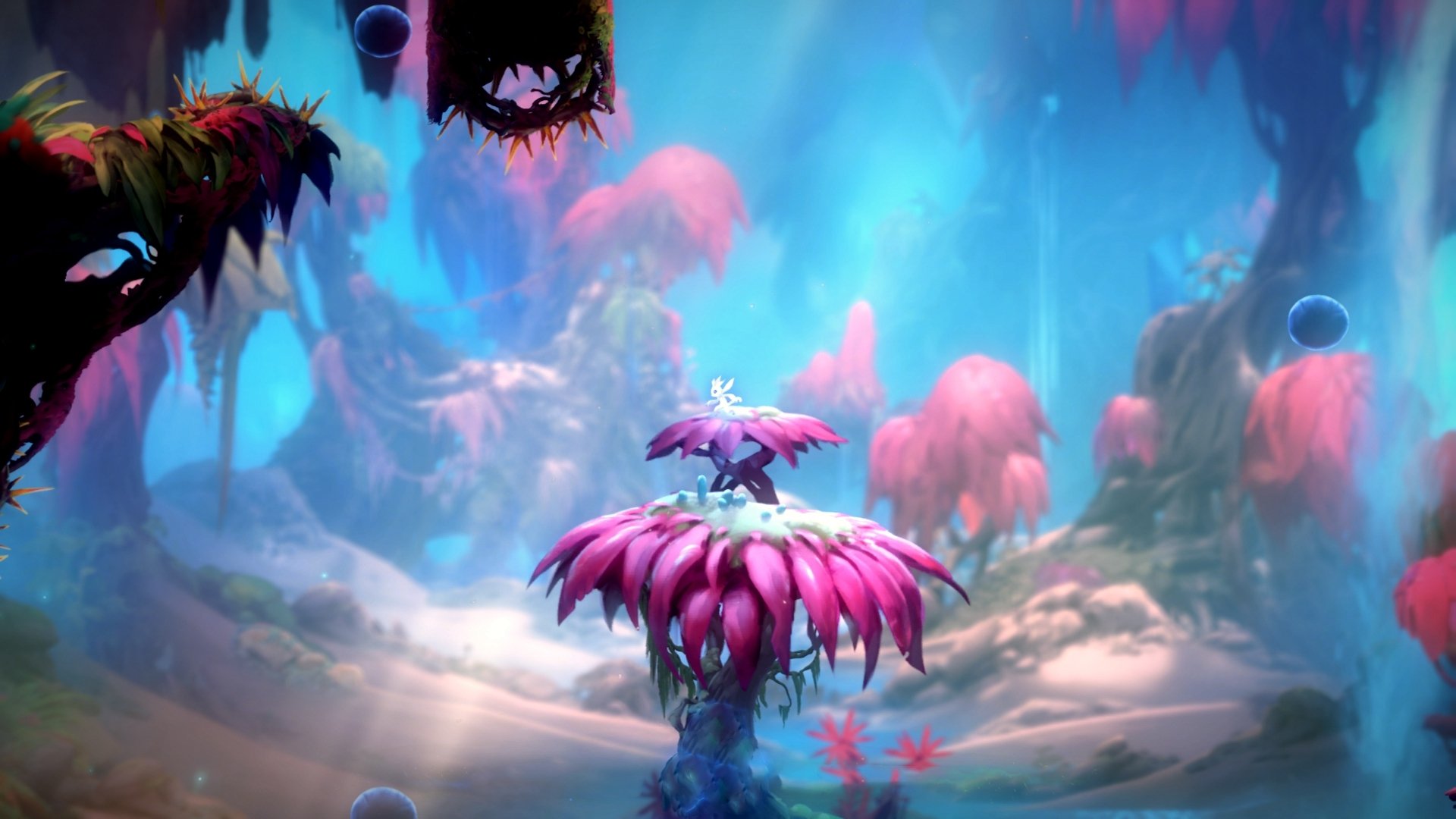 leyu乐鱼在线登录入口-高尔的全能型打法为袋鼠队提供多种战术选择，高尔的全能型打法为袋鼠队提供多种战术选择方法